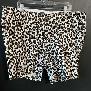 Plus size shorts